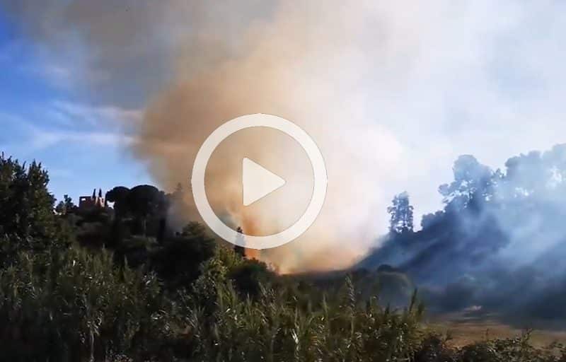 Incendio en la cornisa del Aljarafe el pasado 13 de junio de 2020.
