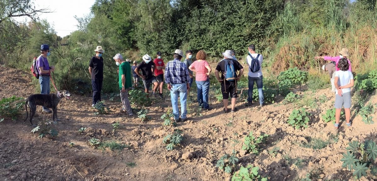 La Asociación de Defensores del Territorio del Aljarafe durante una de sus rutas para visitar el Riopudio.