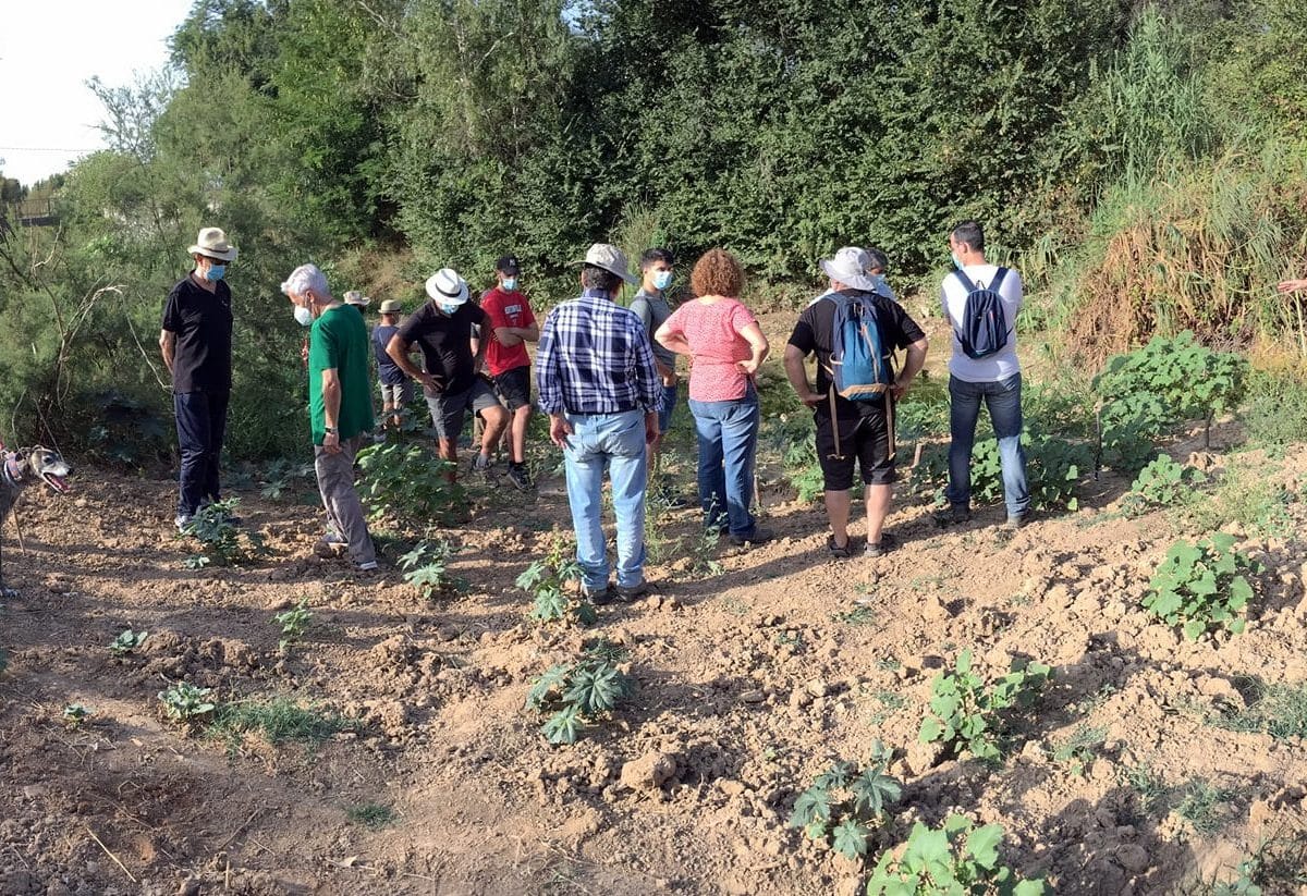 La Asociación de Defensores del Territorio del Aljarafe durante una de sus rutas para visitar el Riopudio.