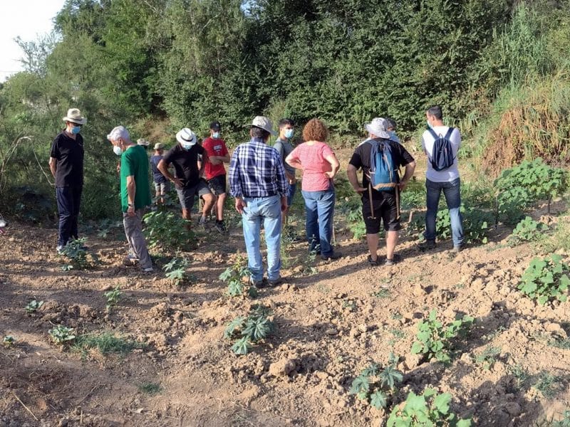 La Asociación de Defensores del Territorio del Aljarafe durante una de sus rutas para visitar el Riopudio.
