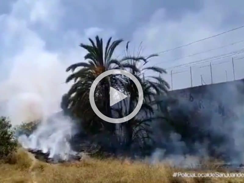 El incendio se ha producido en la A-8058 junto a las vías de Metro de Sevilla.