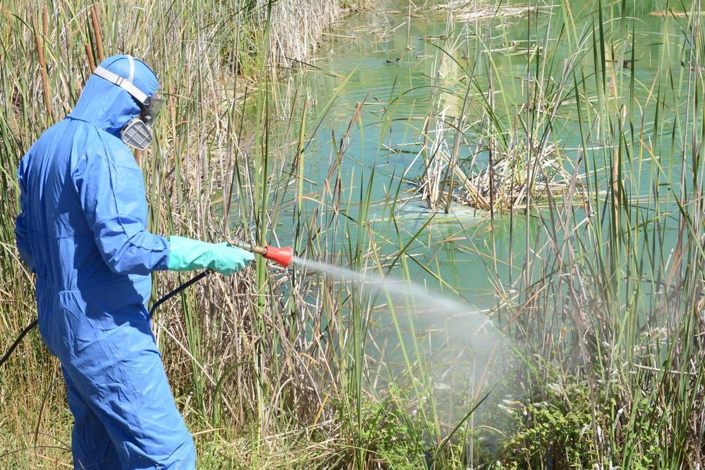 Un operario fumiga las lagunas del Parque del Olivar del Zaudín.