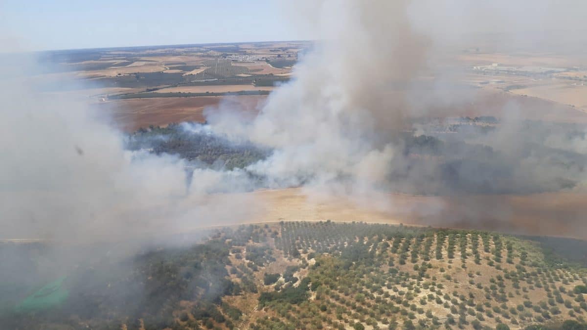 Imagen aérea del fuego declarado en Benacazón. Foto del INFOCA