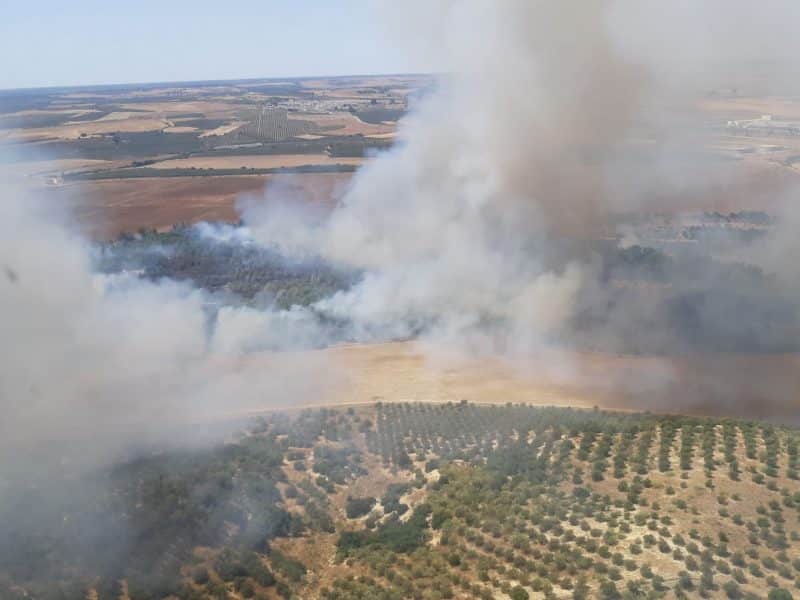 Imagen aérea del fuego declarado en Benacazón. Foto del INFOCA