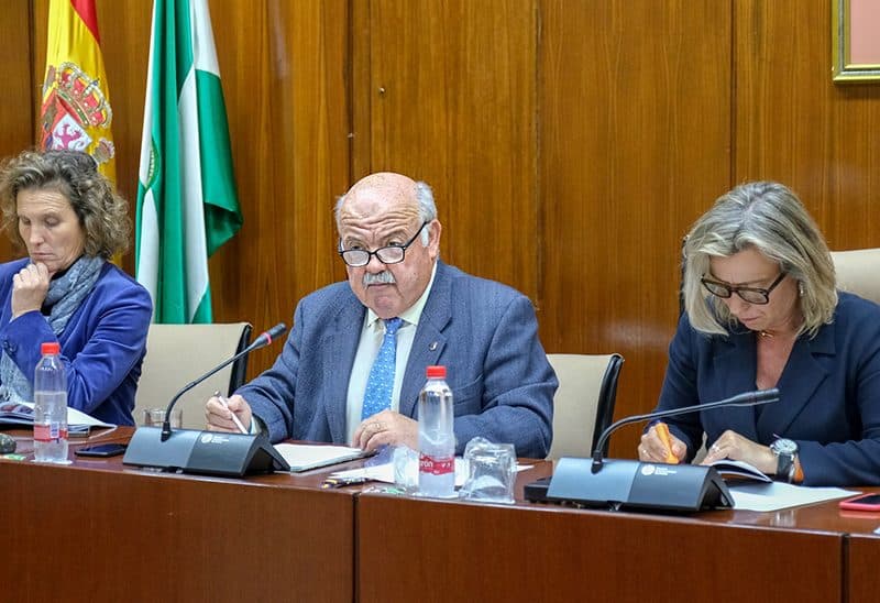El consejero de Salud y Familias, Jesús Aguirre, ante la Comisión parlamentaria.