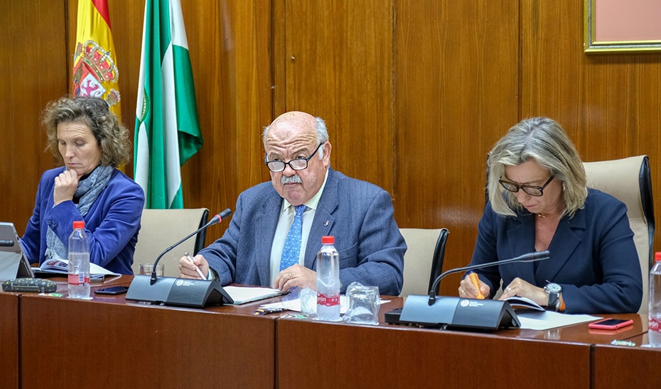 El consejero de Salud y Familias, Jesús Aguirre, ante la Comisión parlamentaria.