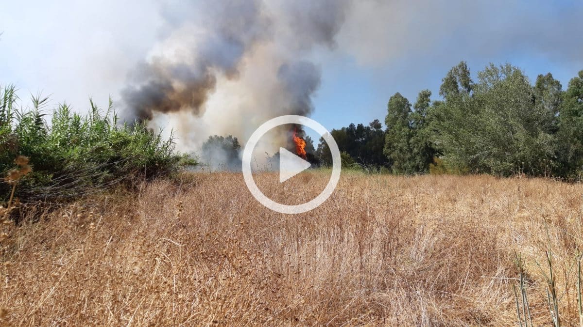 Fuego declarado en el corredor verde de Sanlúcar la Mayor.