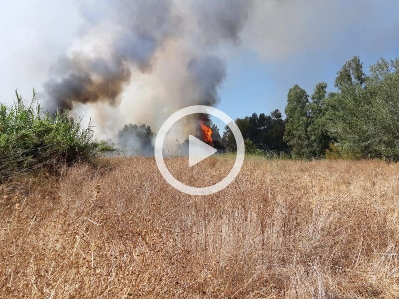 Fuego declarado en el corredor verde de Sanlúcar la Mayor.
