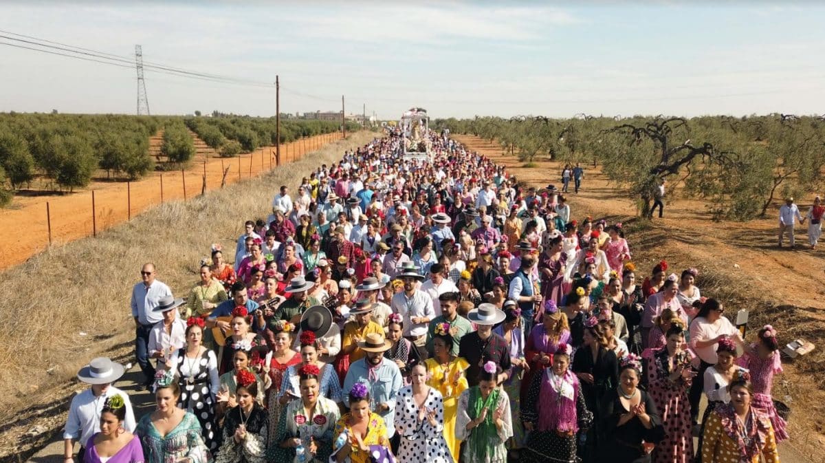 Romería de Cuatrovitas del año 2019.