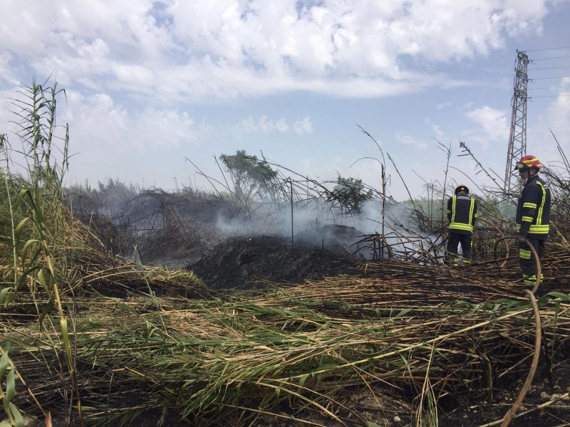 Imagen de los bomberos del Aljarafe sofocando el fuego en el cañaveral de Bormujos.