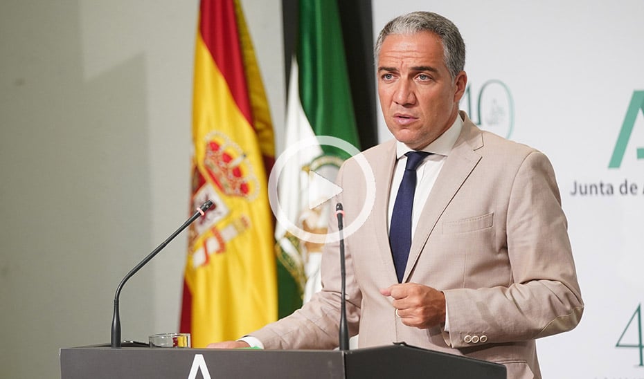 El consejero de Presidencia, Administración Pública e Interior, Elías Bendodo, en la rueda de prensa de hoy.