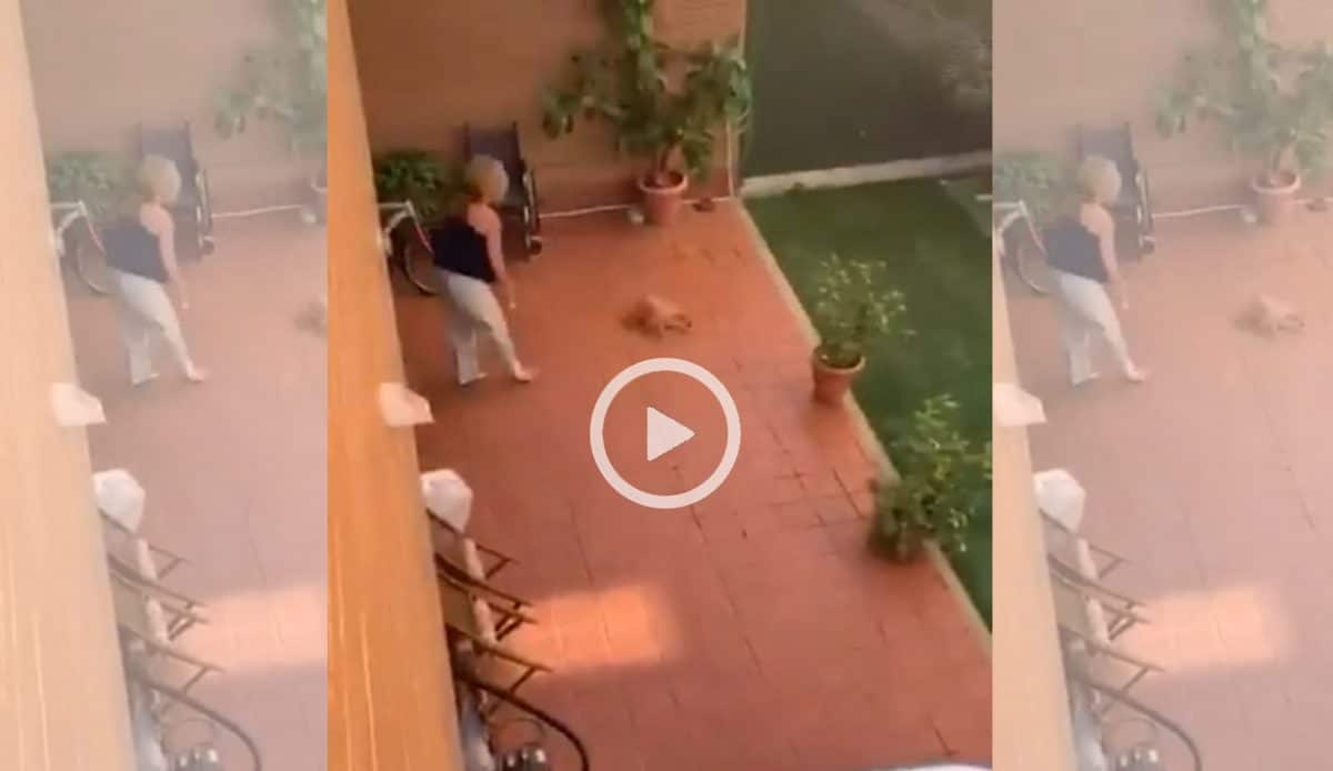 Una mujer maltrata a su perro por hacer sus necesidades en el jardín.