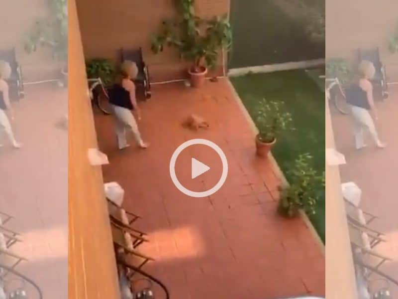Una mujer maltrata a su perro por hacer sus necesidades en el jardín.