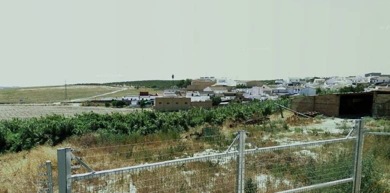 Huévar del Aljarafe