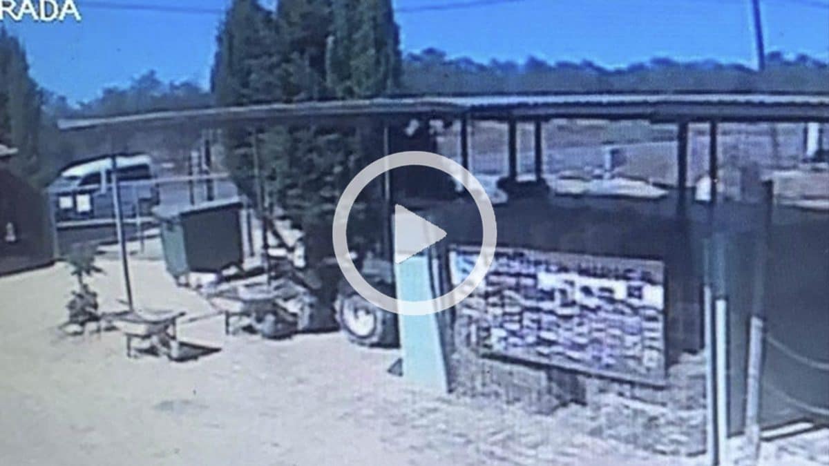 Vídeo del robo de un perro en Espartinas.
