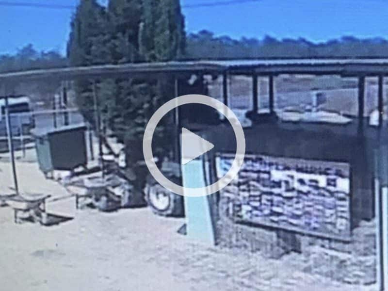 Vídeo del robo de un perro en Espartinas.