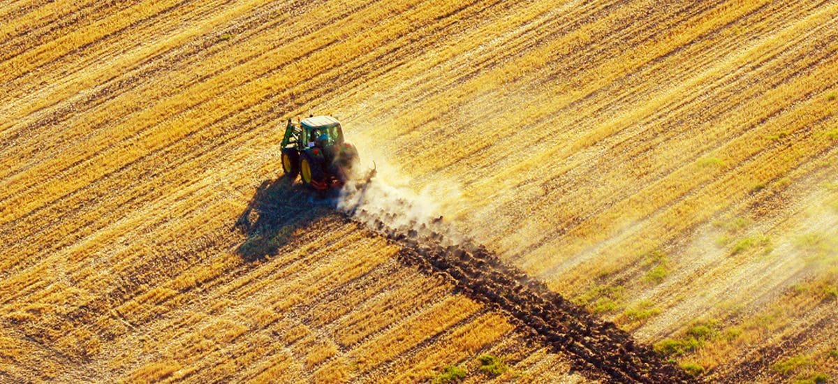 Estampa del campo aljarafeño. Foto: ADAD, Grupo de Desarrollo Rural