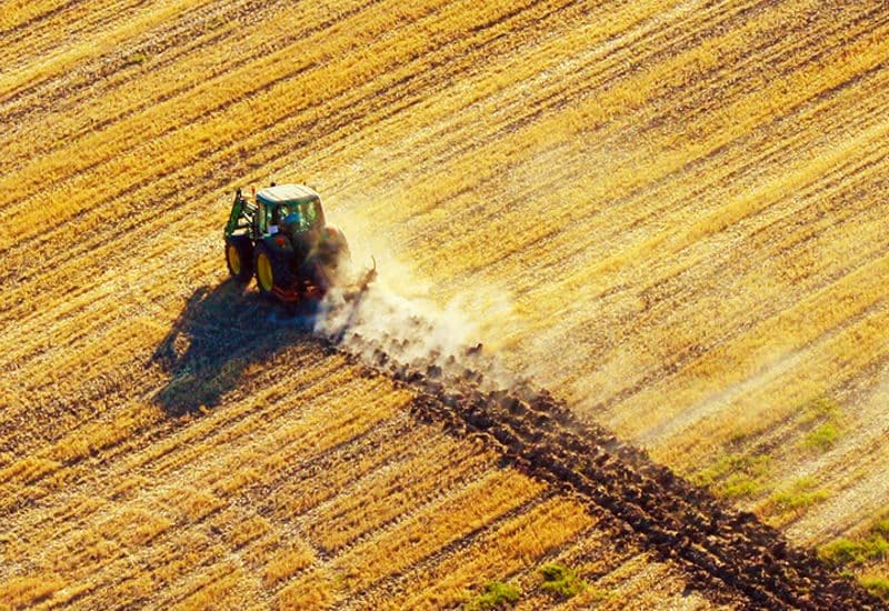 Estampa del campo aljarafeño. Foto: ADAD, Grupo de Desarrollo Rural