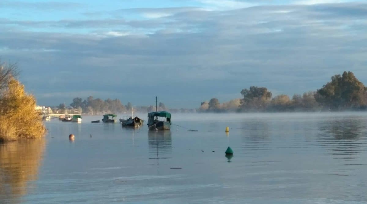 Río Guadalquivir a la altura de Coria del Río