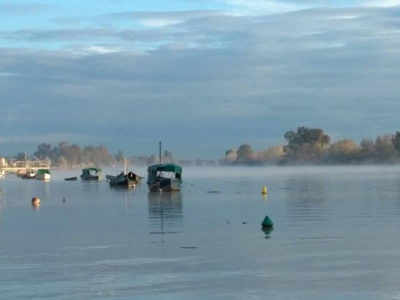 Río Guadalquivir a la altura de Coria del Río