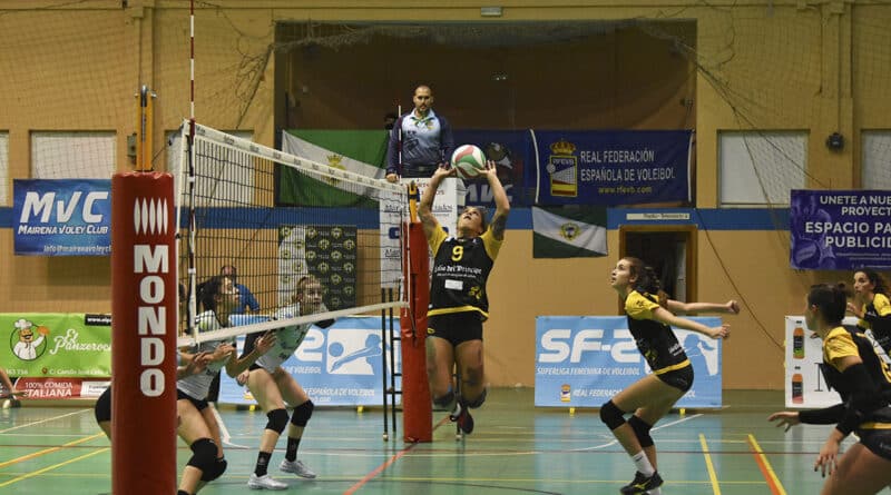 Las guerreras de Alejandro Terrero se impusieron ayer por 3 a 0 al Leleman Voleibol Valencia
