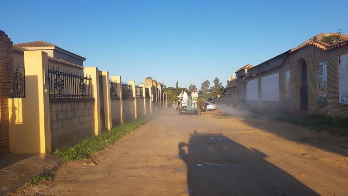 Imagen del Sector F de Almensilla durante la pandemia del coronavirus.