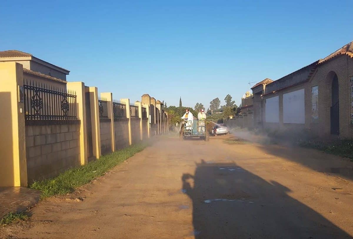 Imagen del Sector F de Almensilla durante la pandemia del coronavirus.