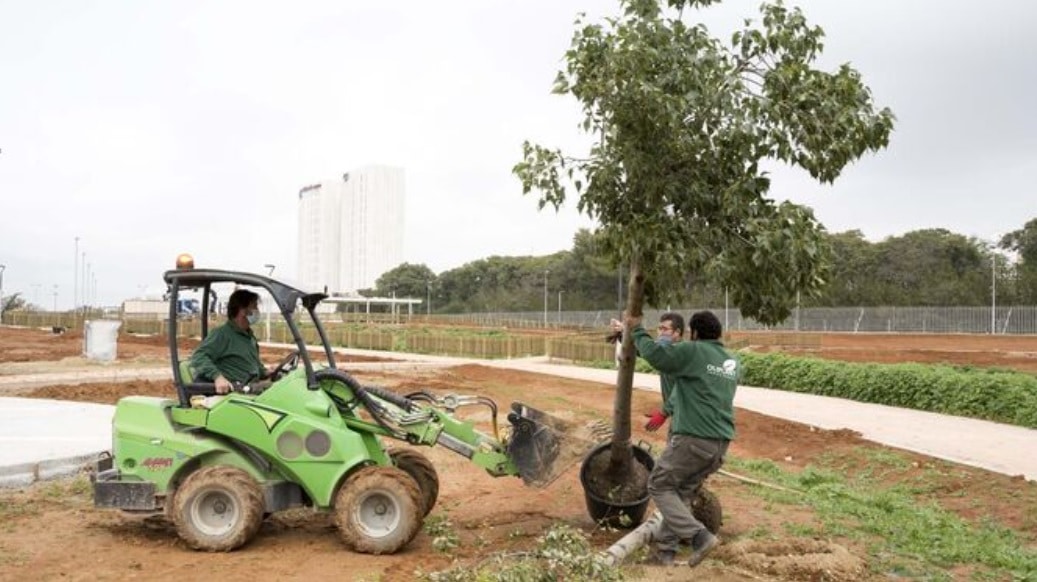 Plantación del primer árbol en el Parque Central de Mairena del Aljarafe.