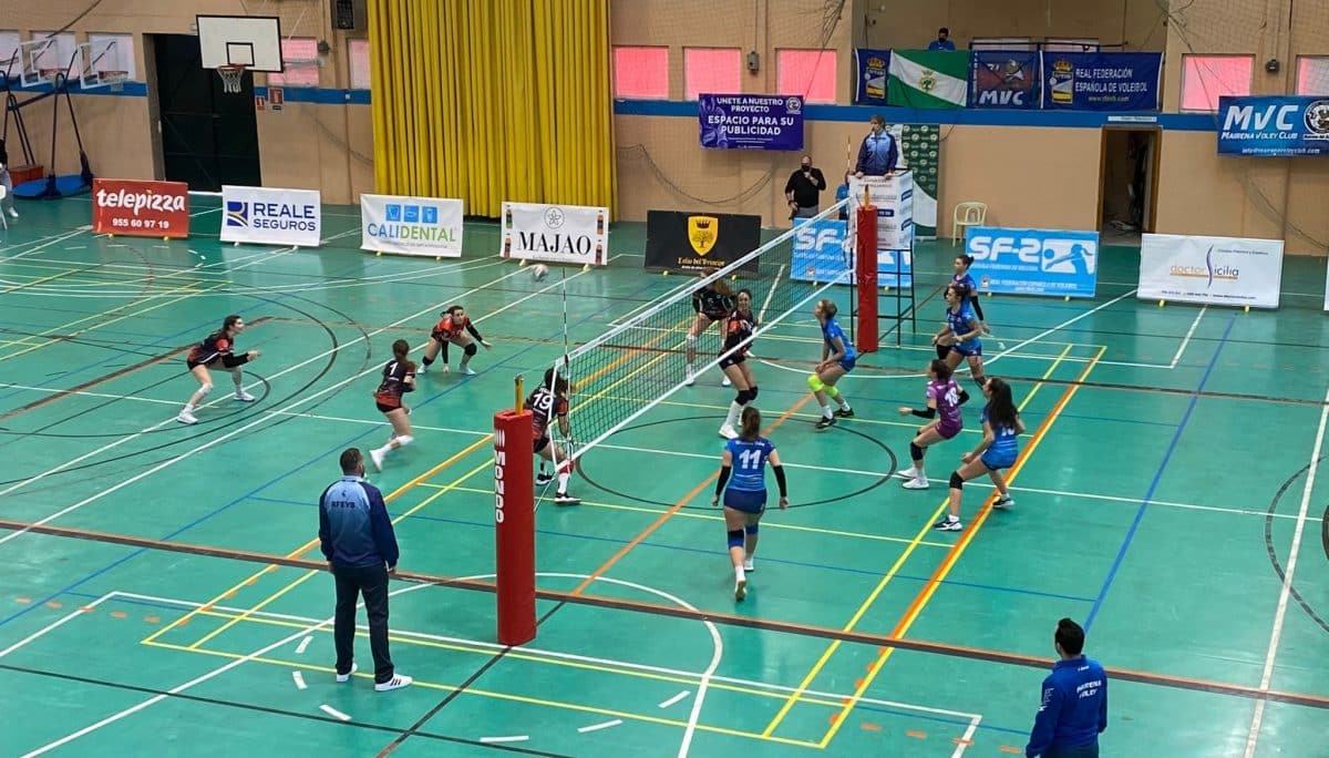 El Xativa recepciona una pelota del Mairena Voley Club.