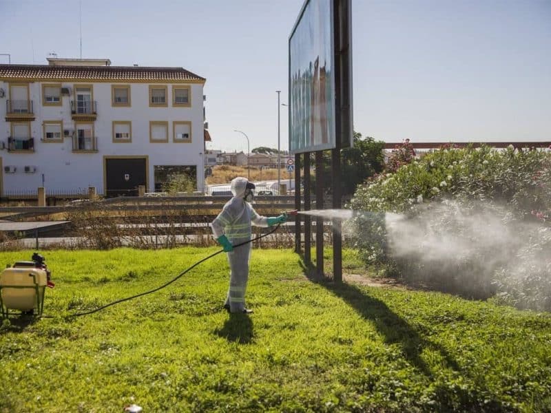 Un trabajador durante las labores de fumigación contra los mosquitos causantes del virus del Nilo en Coria del Río.