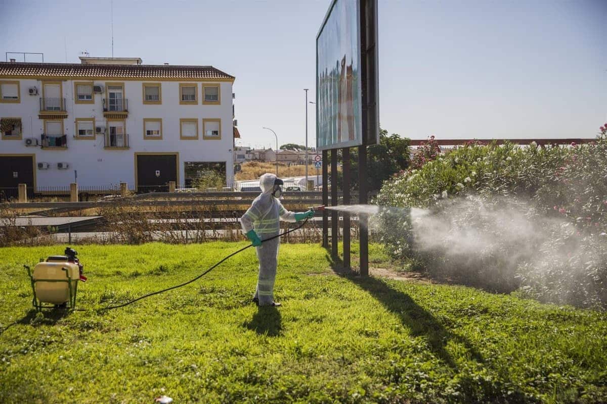 Un trabajador durante las labores de fumigación contra los mosquitos causantes del virus del Nilo en Coria del Río.