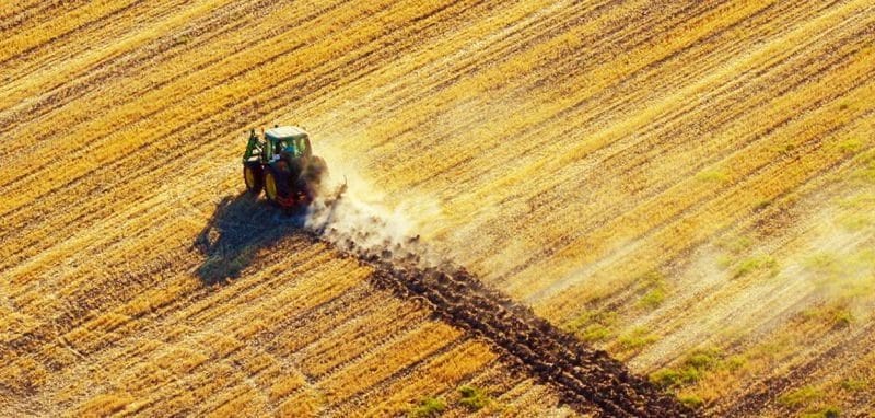Estampa del campo aljarafeño. Foto: ADAD, Grupo de Desarrollo Rural