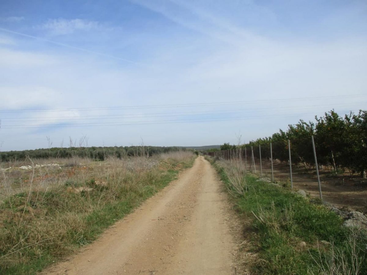 Etapa 2 de la ruta de la Vía de la Plata que une Santiponce con Castilblanco de los Arroyos