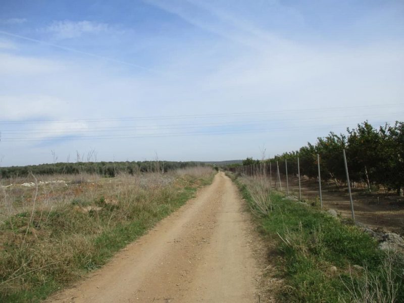 Etapa 2 de la ruta de la Vía de la Plata que une Santiponce con Castilblanco de los Arroyos