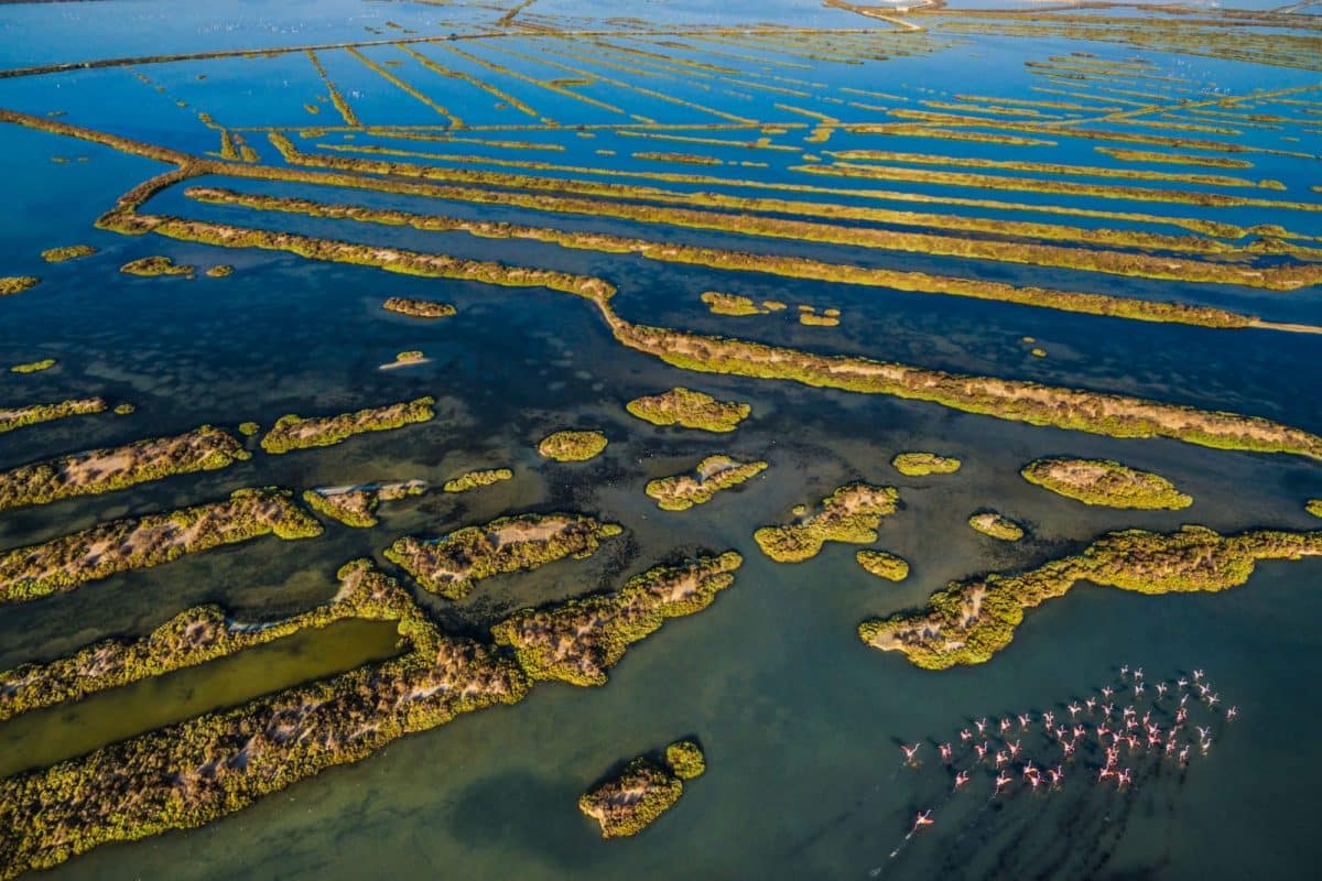 Fotografía de Javier Domínguez, ganadora de la categoría nacional.