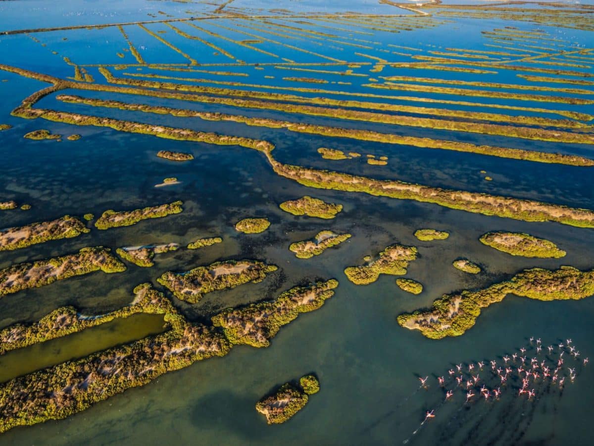 Estas son las obras ganadoras del I Concurso Nacional de Fotografía de Mairena