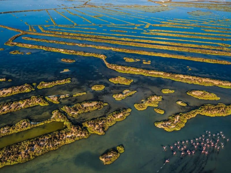 Fotografía de Javier Domínguez, ganadora de la categoría nacional.