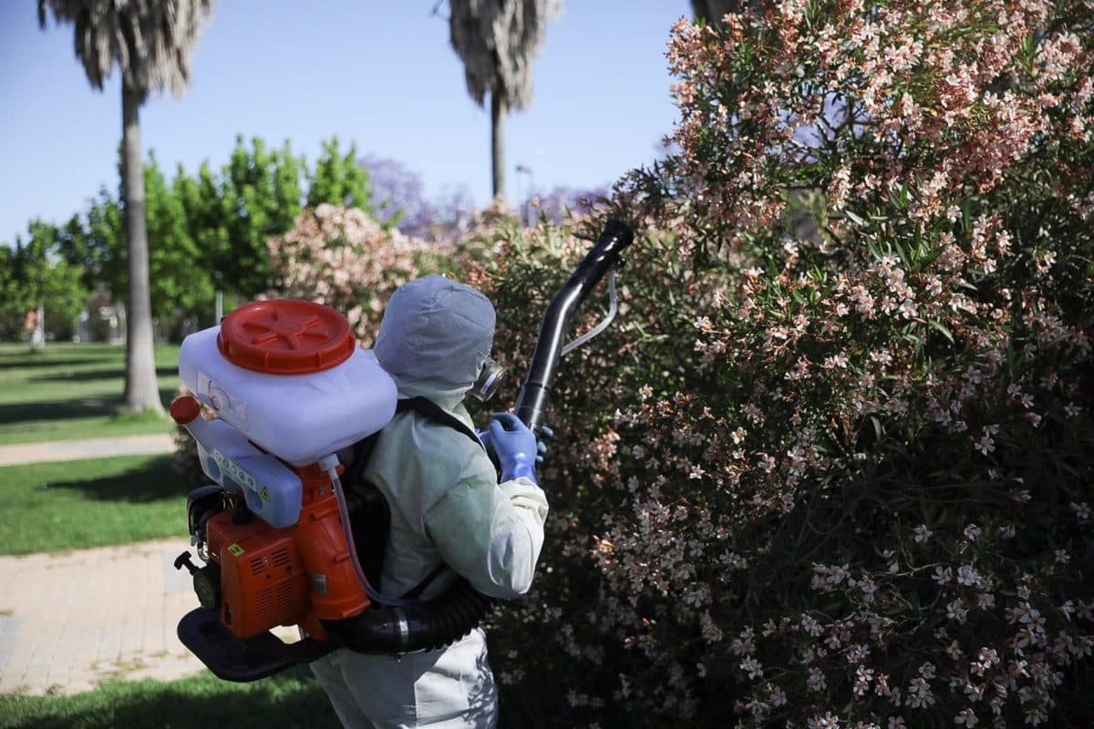 Arranca la fumigación en Coria del Río contra el mosquito portador del virus del Nilo. MARÍA JOSÉ LÓPEZ- EUROPA PRESS