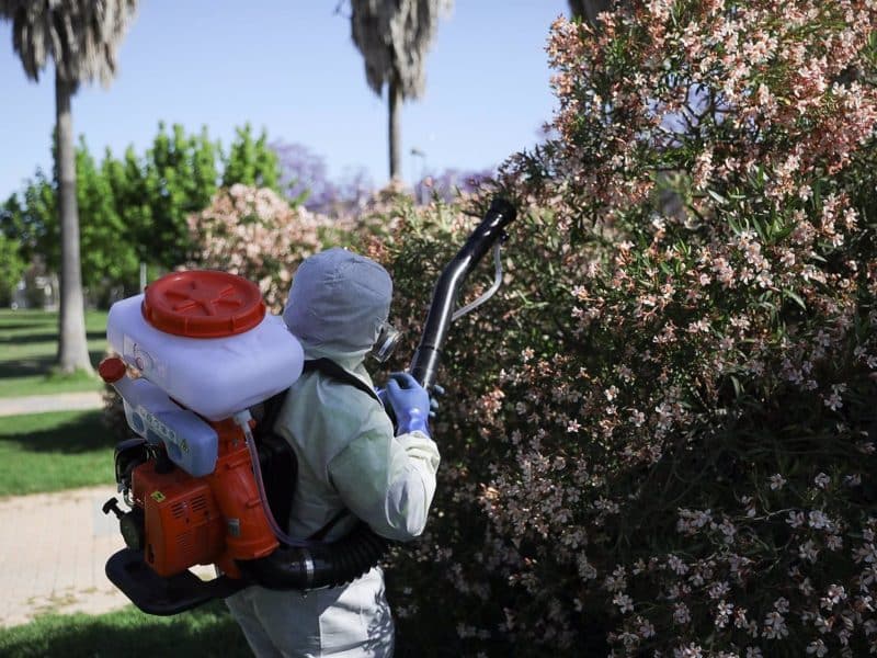Arranca la fumigación en Coria del Río contra el mosquito portador del virus del Nilo. MARÍA JOSÉ LÓPEZ- EUROPA PRESS