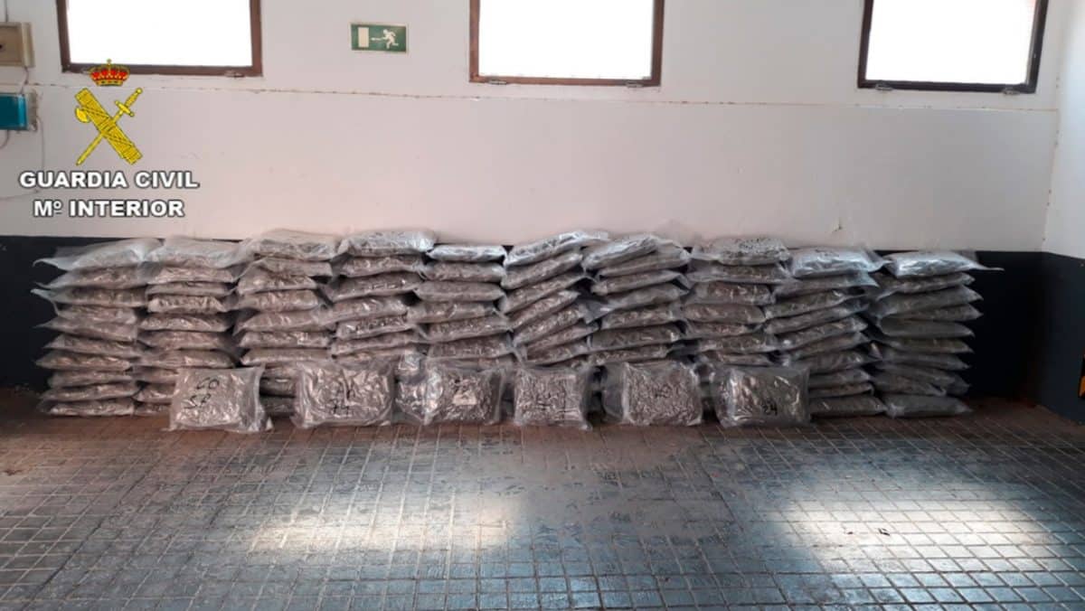 Las 106 bolsas de marihuana incautadas en Ciudad Real.