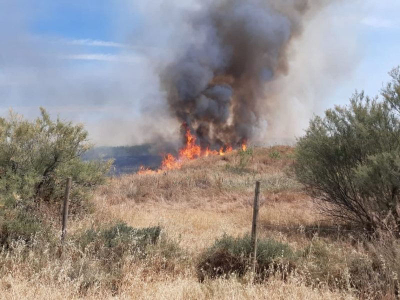 Incendio en Aznalcázar