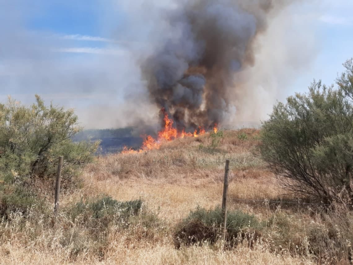Incendio en Aznalcázar