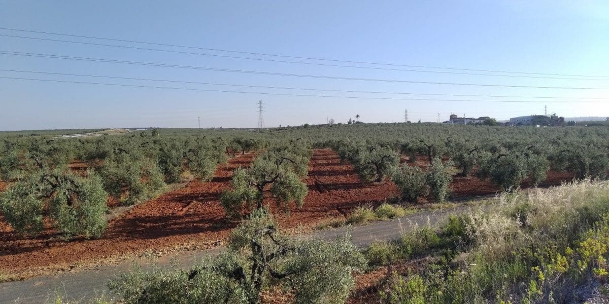 Suelos señalados por los ecologistas ECOLOGISTAS EN ACCIÓN