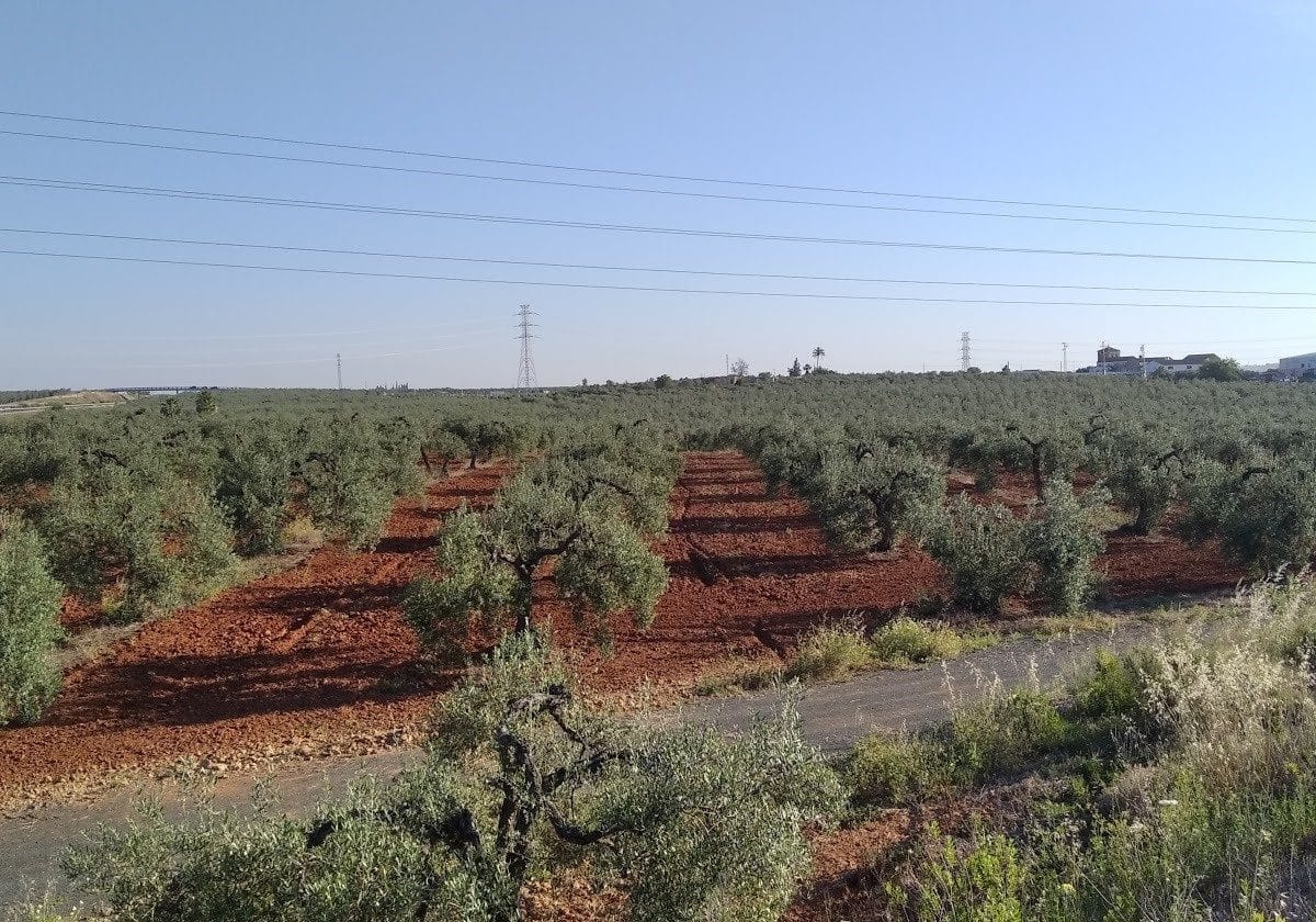 Suelos señalados por los ecologistas ECOLOGISTAS EN ACCIÓN