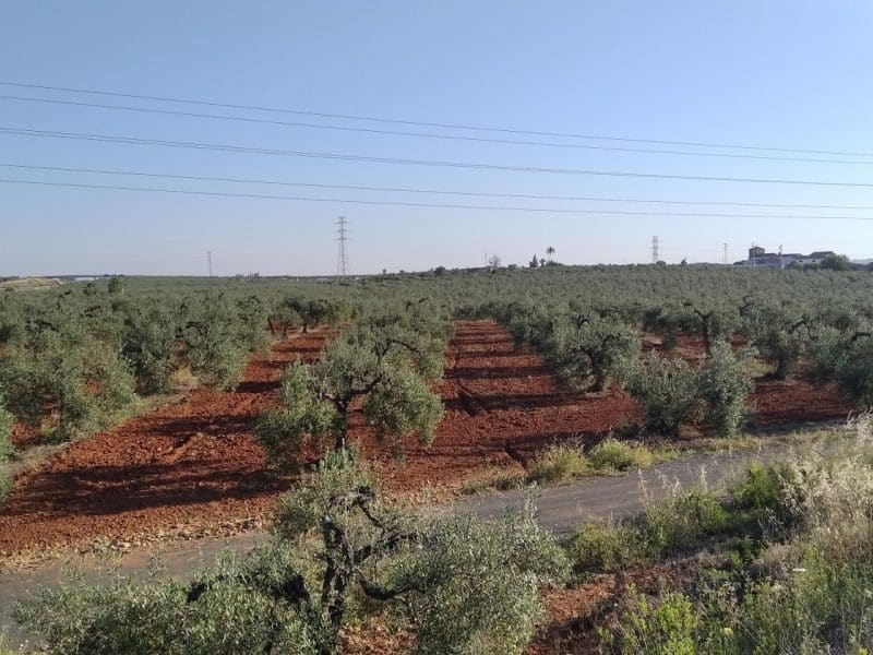 Suelos señalados por los ecologistas ECOLOGISTAS EN ACCIÓN