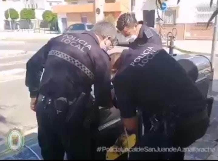 Policía de San Juan en el rescate.
