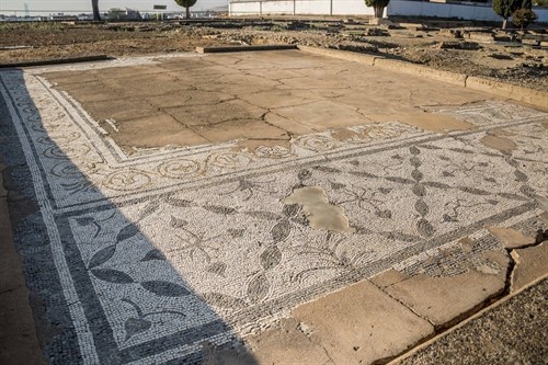 Mosaicos en la Casa del Patio Rodio