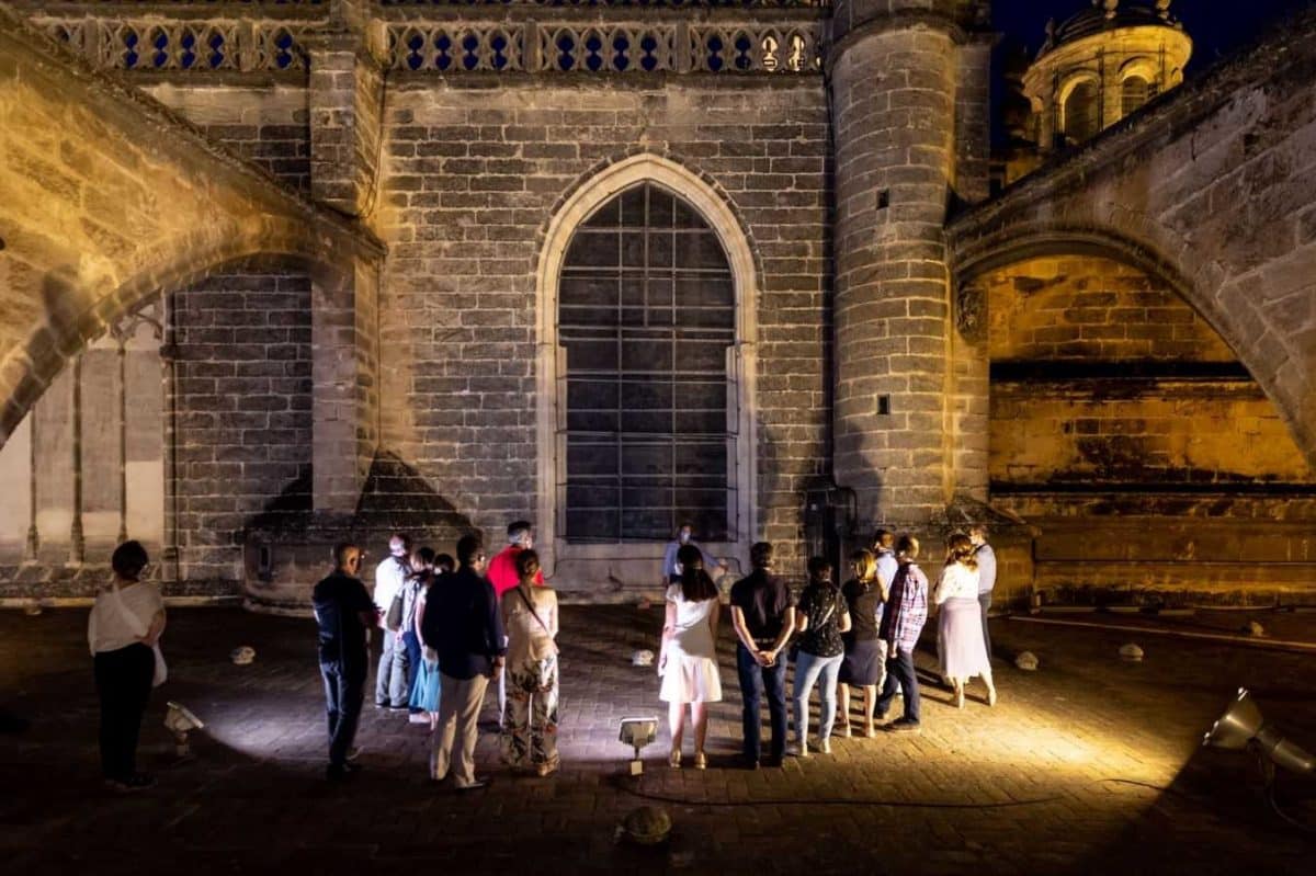 Visitas nocturnas a las cubiertas de la Catedral. CATEDRAL