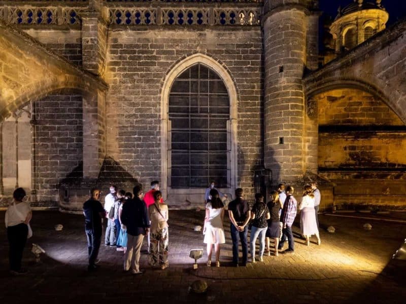 Visitas nocturnas a las cubiertas de la Catedral. CATEDRAL