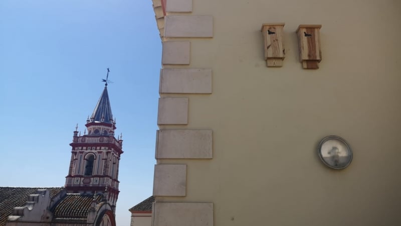 Cajas nidos colocadas en la fachada de un edificio municipal de Bollullos.